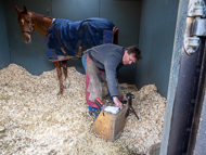 AK310322-94 - Alan King Stable Visit